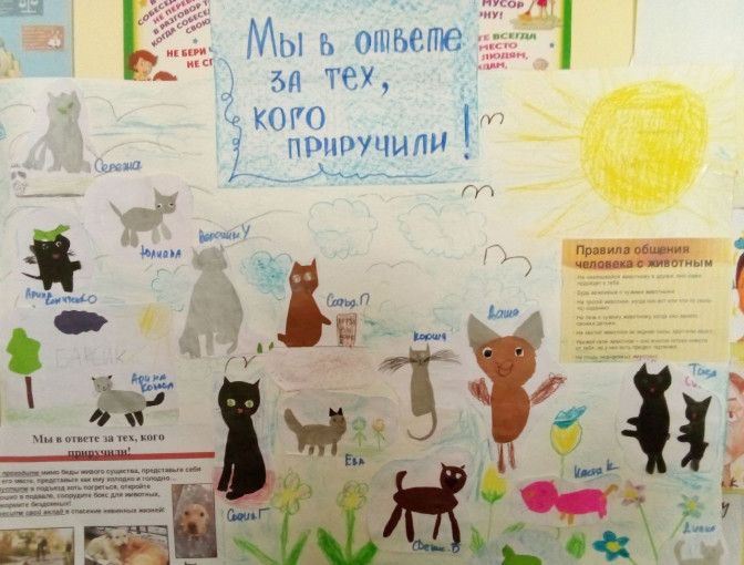 Проект "Мы в ответе за тех кого приручили".